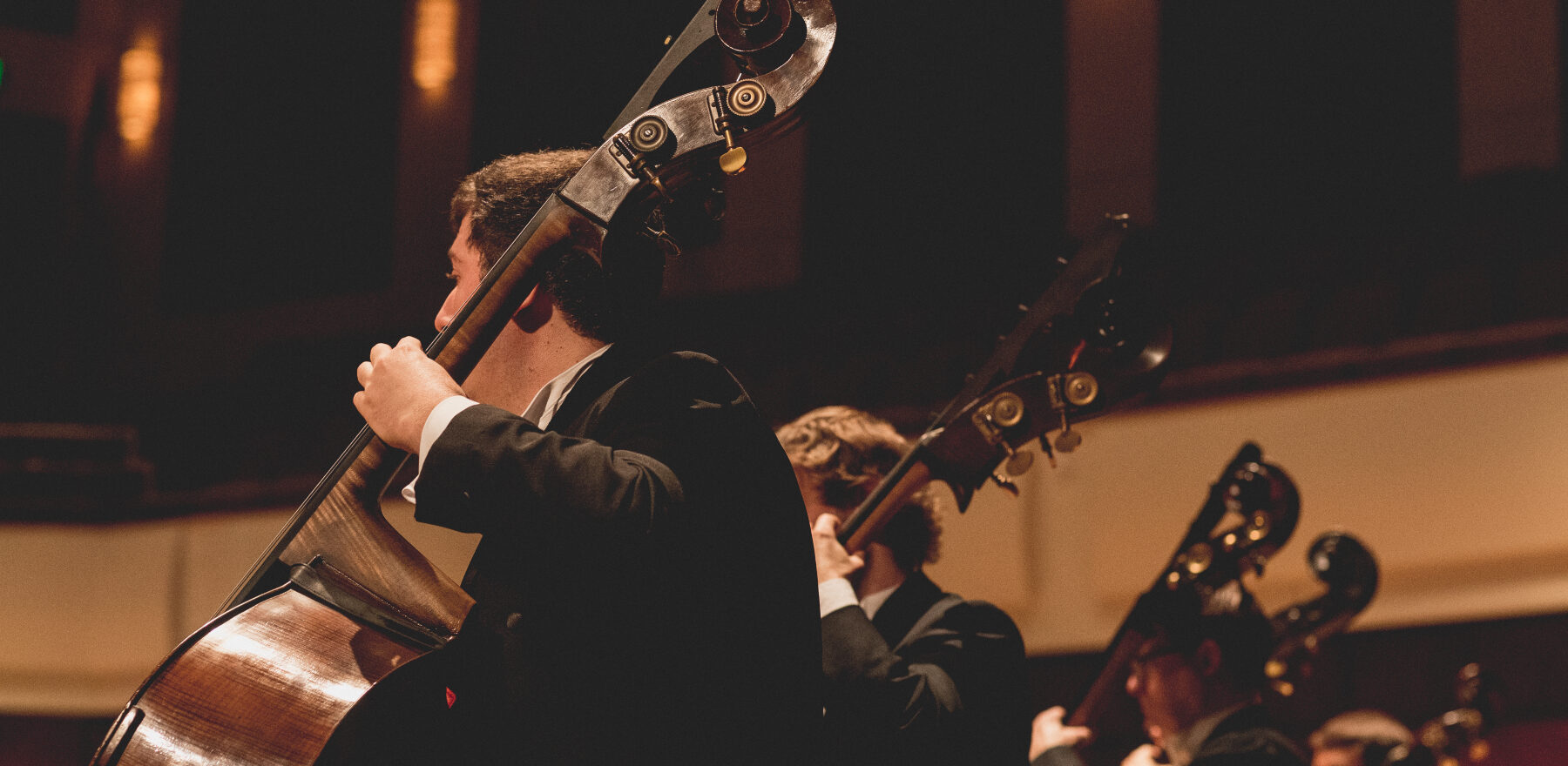 Mental Health and Wellness